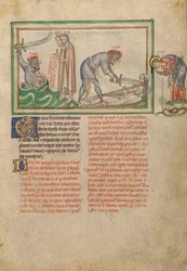 Das Massaker an den zwei Zeugen durch das Tier